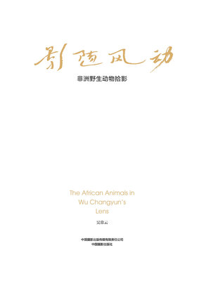 cover image of 影随风动